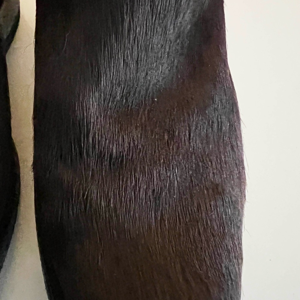 RARE Old Gringo Chocolate Brown Hair on Hide 6B Retail $895 - Picture 6 of 8
